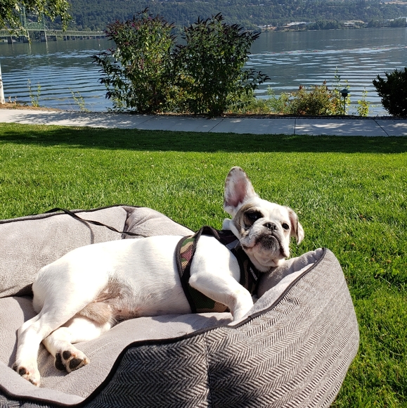 Quantity&Quality - Picture 2 of 8